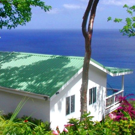 Nature'S Paradise Bed & Breakfast Marigot Bay Dış mekan fotoğraf