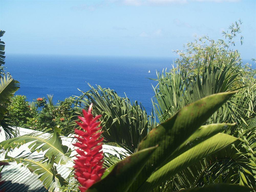 Nature'S Paradise Bed & Breakfast Marigot Bay Dış mekan fotoğraf