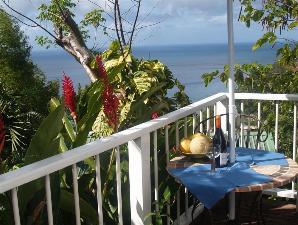 Nature'S Paradise Bed & Breakfast Marigot Bay Dış mekan fotoğraf