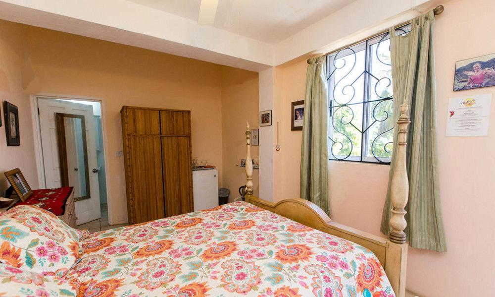 Nature'S Paradise Bed & Breakfast Marigot Bay Dış mekan fotoğraf