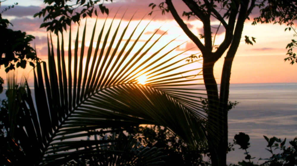 Nature'S Paradise Bed & Breakfast Marigot Bay Dış mekan fotoğraf