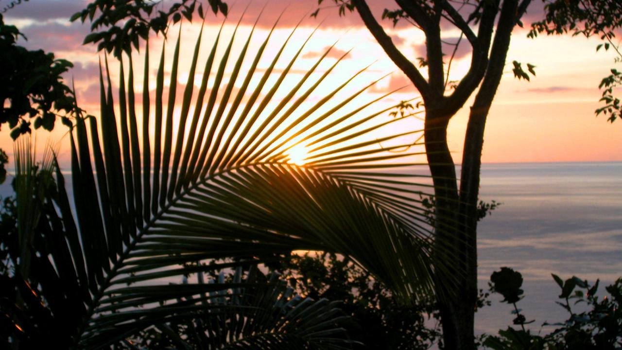 Nature'S Paradise Bed & Breakfast Marigot Bay Dış mekan fotoğraf