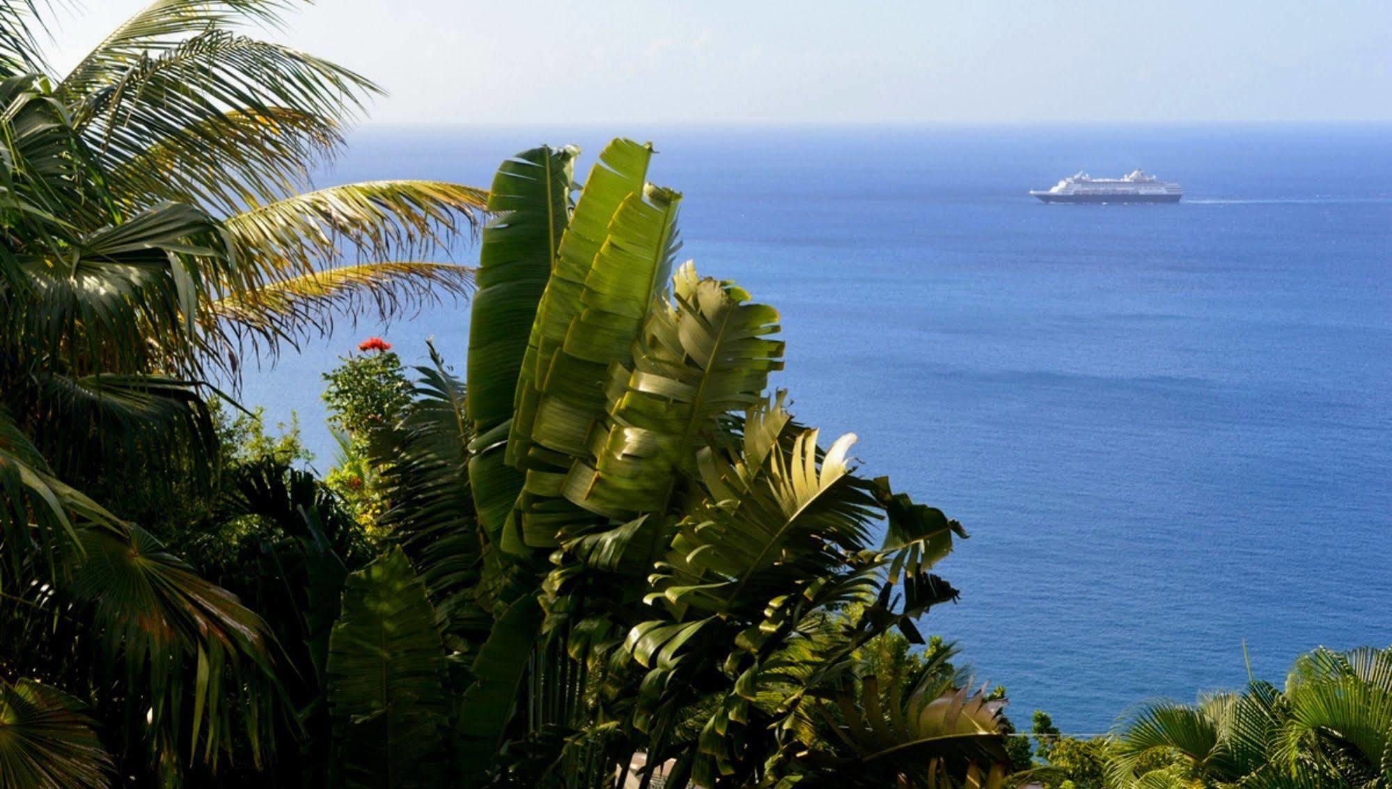 Nature'S Paradise Bed & Breakfast Marigot Bay Dış mekan fotoğraf