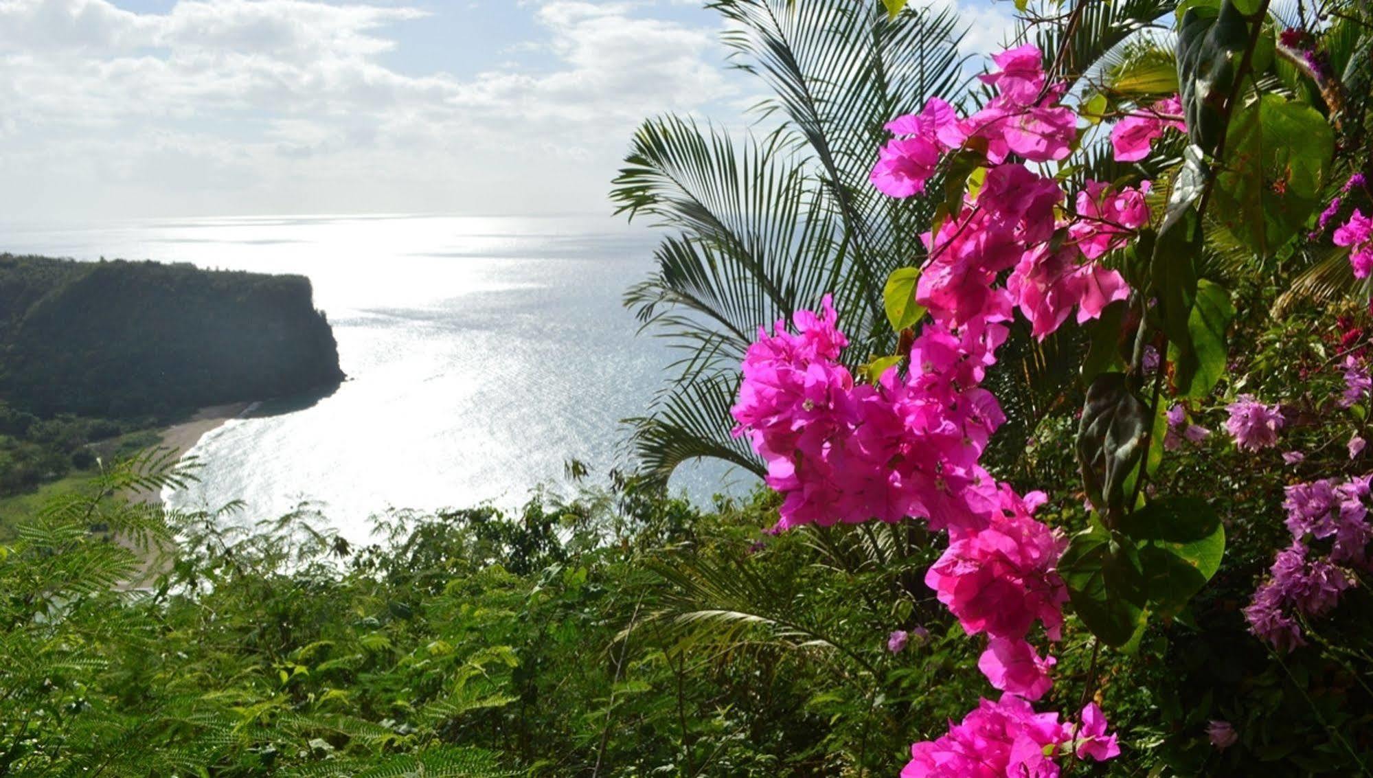 Nature'S Paradise Bed & Breakfast Marigot Bay Dış mekan fotoğraf
