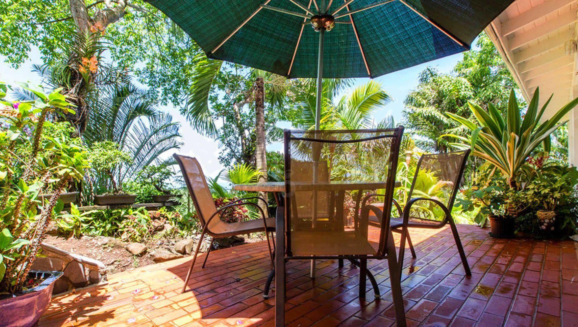 Nature'S Paradise Bed & Breakfast Marigot Bay Dış mekan fotoğraf
