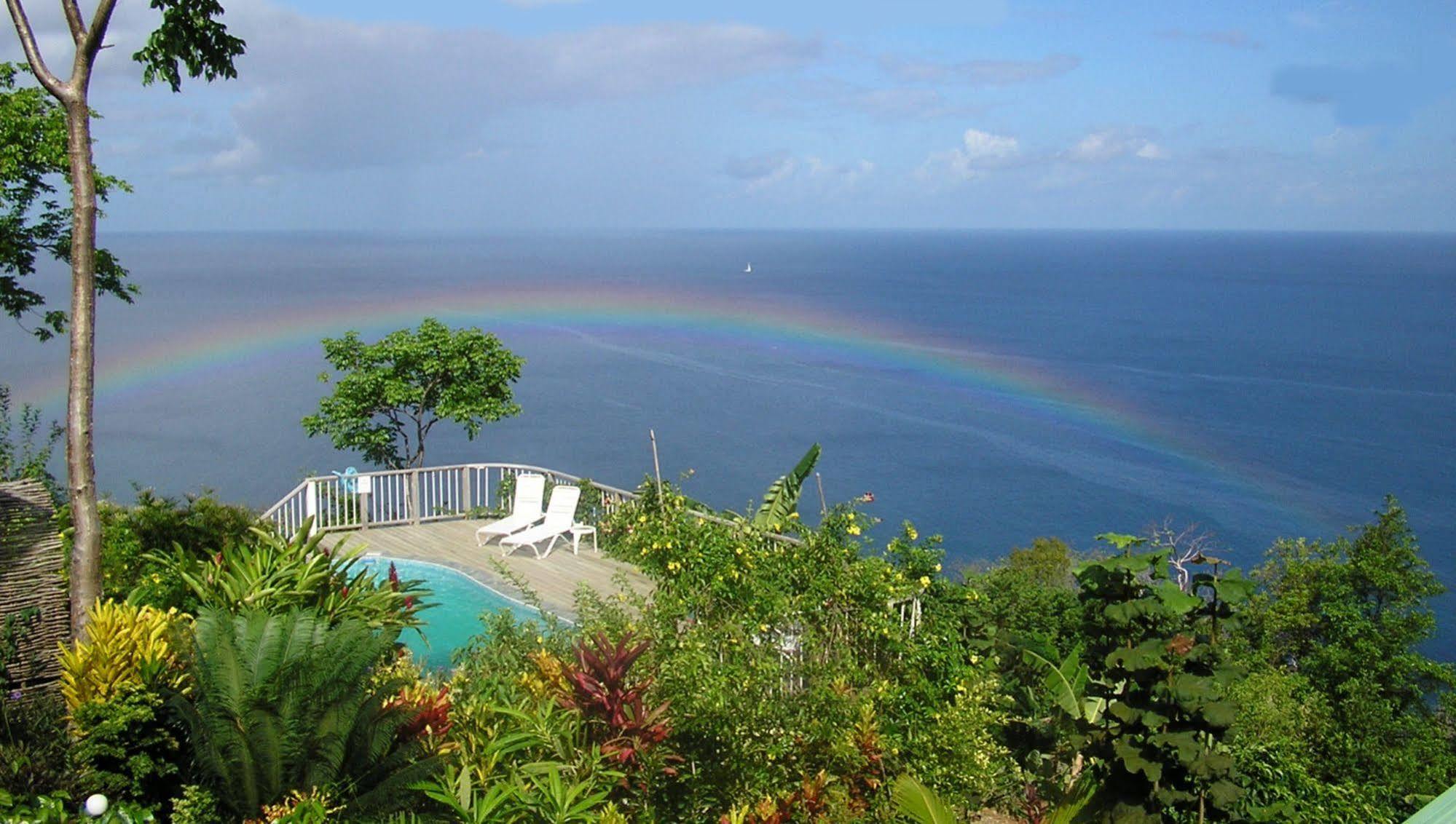 Nature'S Paradise Bed & Breakfast Marigot Bay Dış mekan fotoğraf